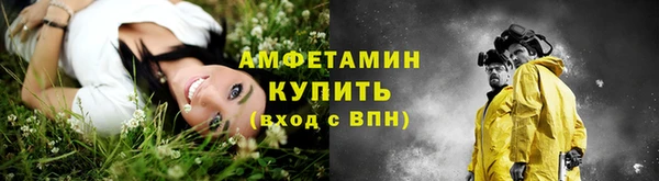 шишки Горно-Алтайск