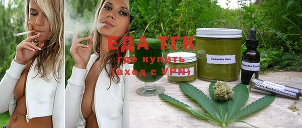 шишки Горно-Алтайск
