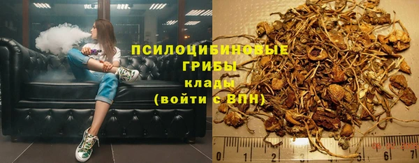 прущие крисы Магас