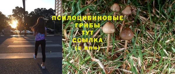 шишки Горно-Алтайск