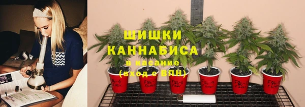 шишки Горно-Алтайск