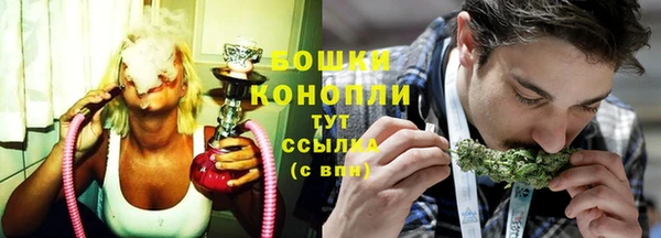 шишки Горно-Алтайск