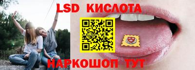 spice Камышлов