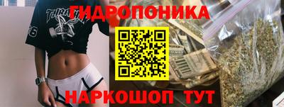 spice Камышлов