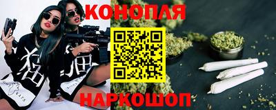 spice Камышлов