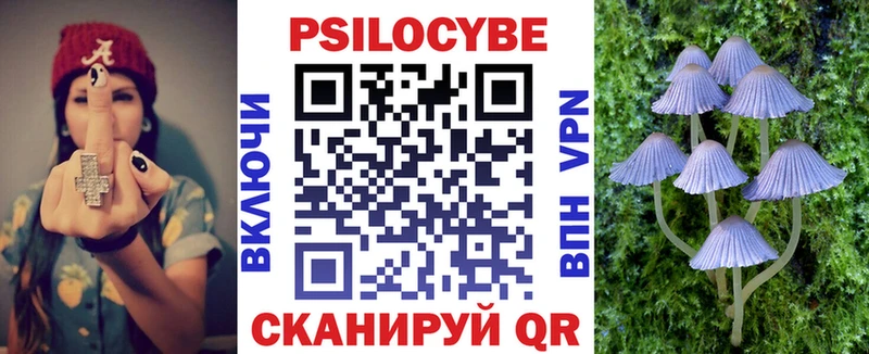 Галлюциногенные грибы Psilocybe  наркота  Можга 
