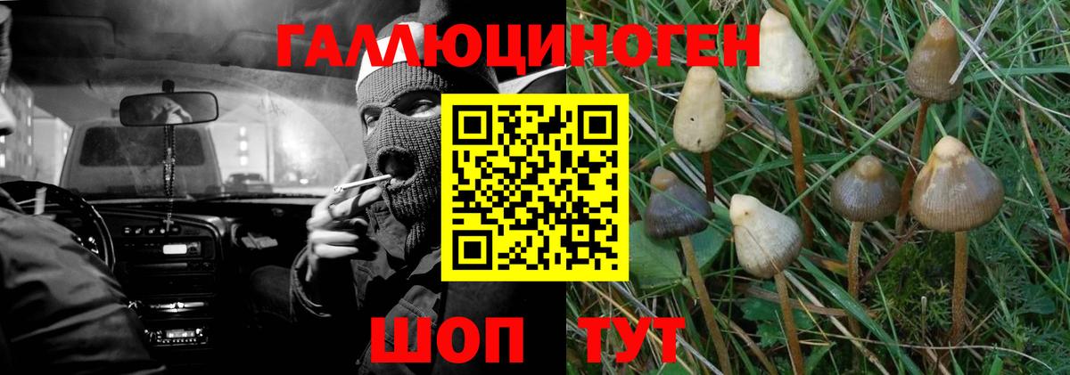 Можга  Галлюциногенные грибы Psilocybine cubensis  купить закладку  Вход с VPN  Псилоцибиновые грибы прущие грибы 