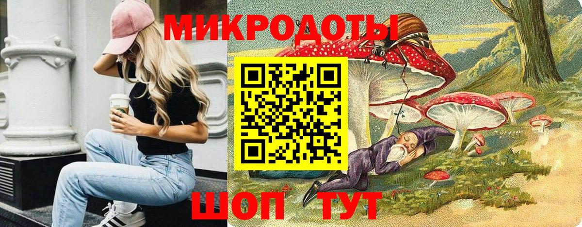 Галлюциногенные грибы Psilocybe Можга